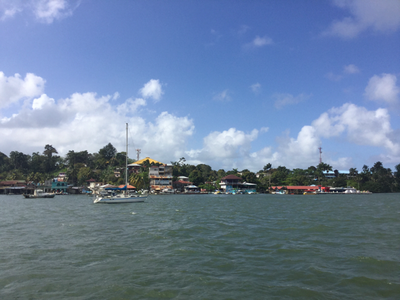Guatemala-Livingston-anchorage-Brian_Simm grey blue water a little choppy with boats at anchor and one yacht with the shoreline behind of trees and some houses and waterfront buildings