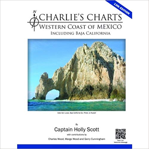 51wNPef5UJL._SY498_BO1,204,203,200_